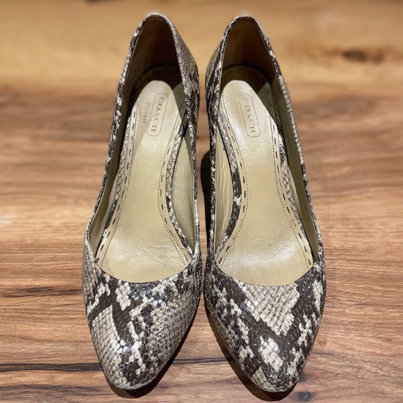 Coach Women’s Loise Snakeskin Wedge Heel - Size 7 - Picture 1 of 6